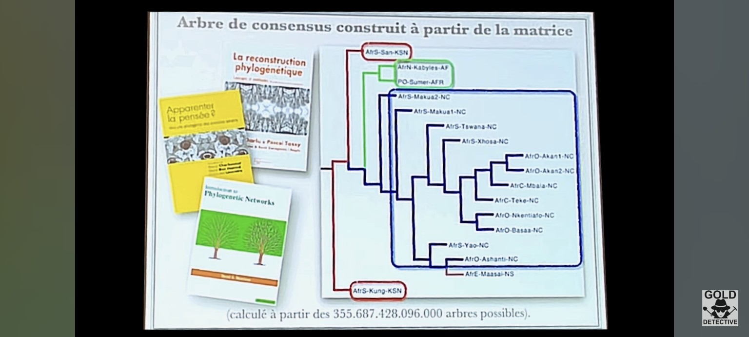 Branches et regroupements dans l’arbre de consensus.