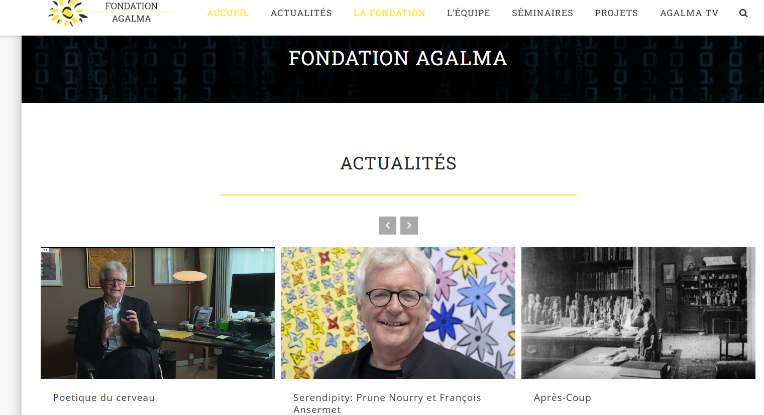Capture de la page d’accueil de la Fondation Agalma